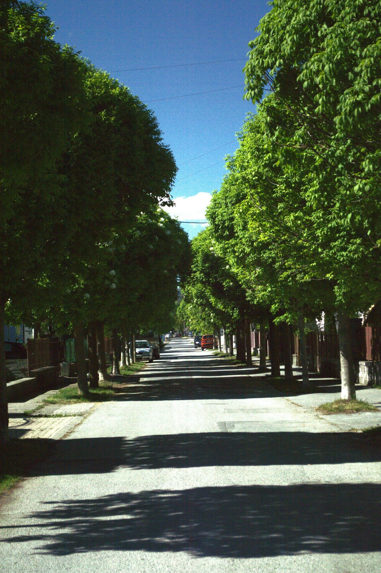 College Park