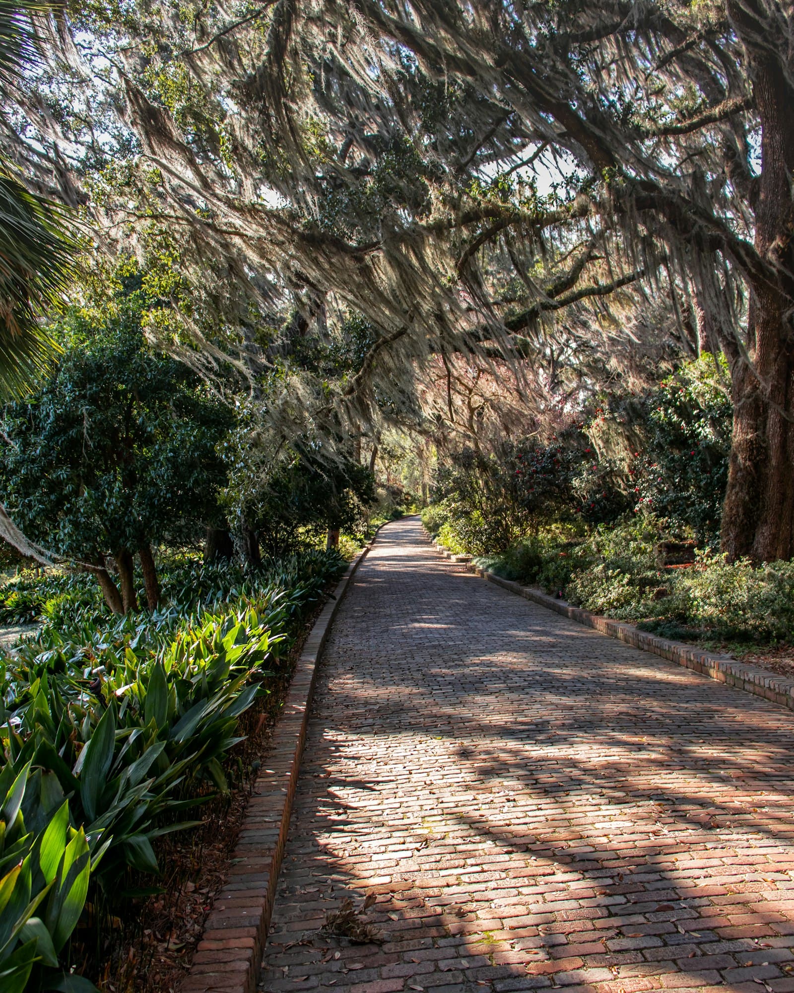 Winter Park